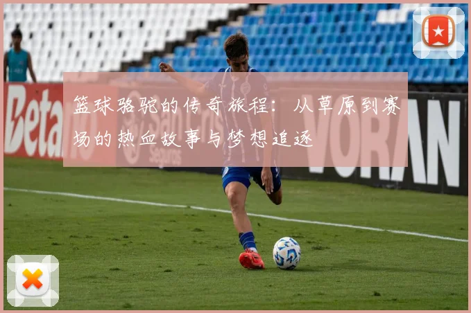 篮球骆驼的传奇旅程：从草原到赛场的热血故事与梦想追逐