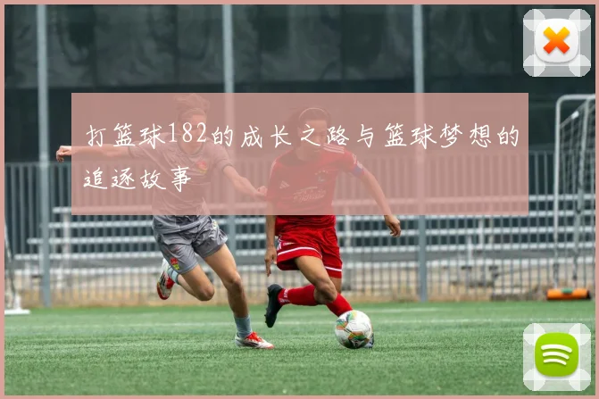 打篮球182的成长之路与篮球梦想的追逐故事
