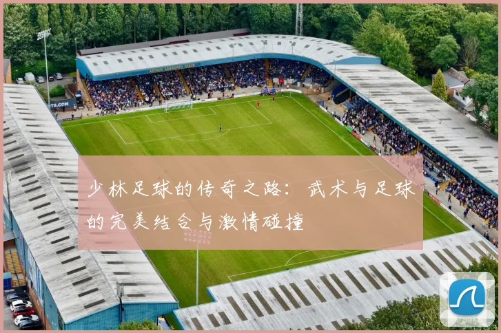 少林足球的传奇之路：武术与足球的完美结合与激情碰撞