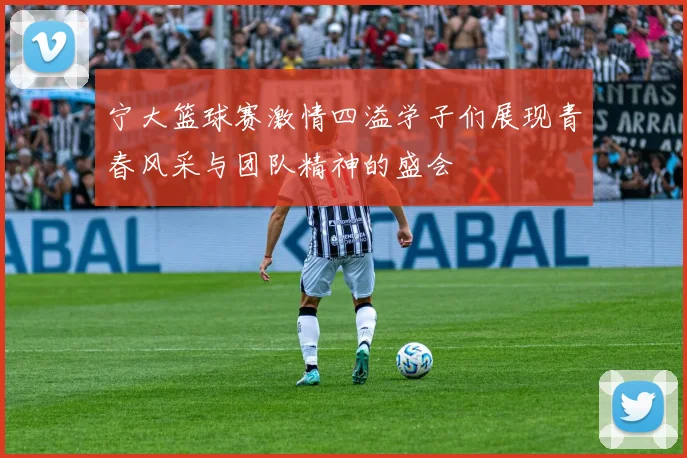 宁大篮球赛激情四溢学子们展现青春风采与团队精神的盛会