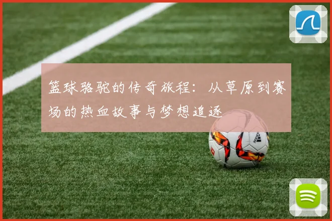 篮球骆驼的传奇旅程：从草原到赛场的热血故事与梦想追逐